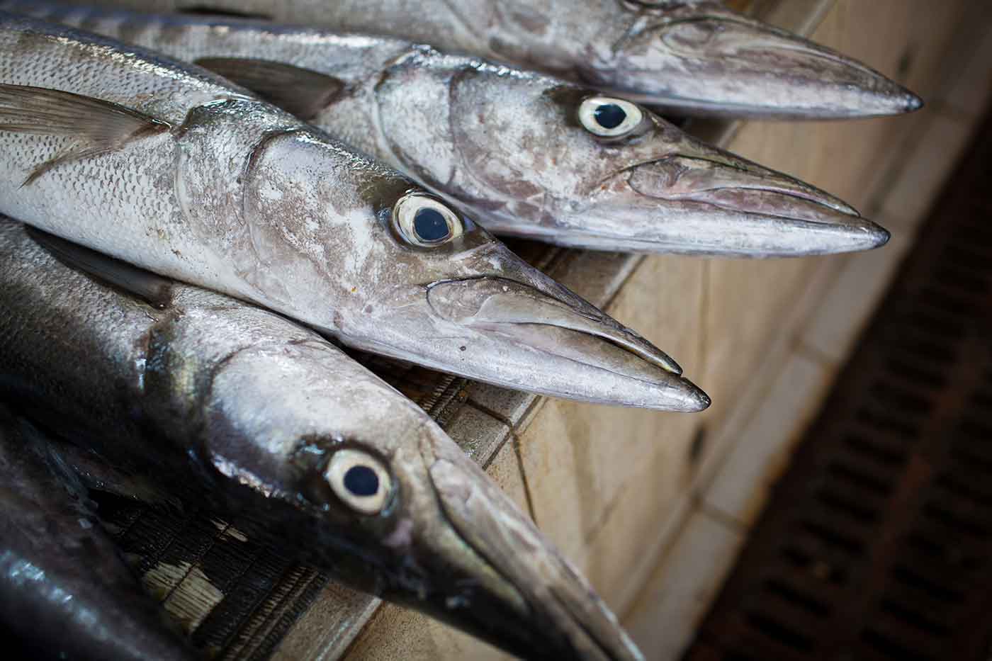 Pescaderías