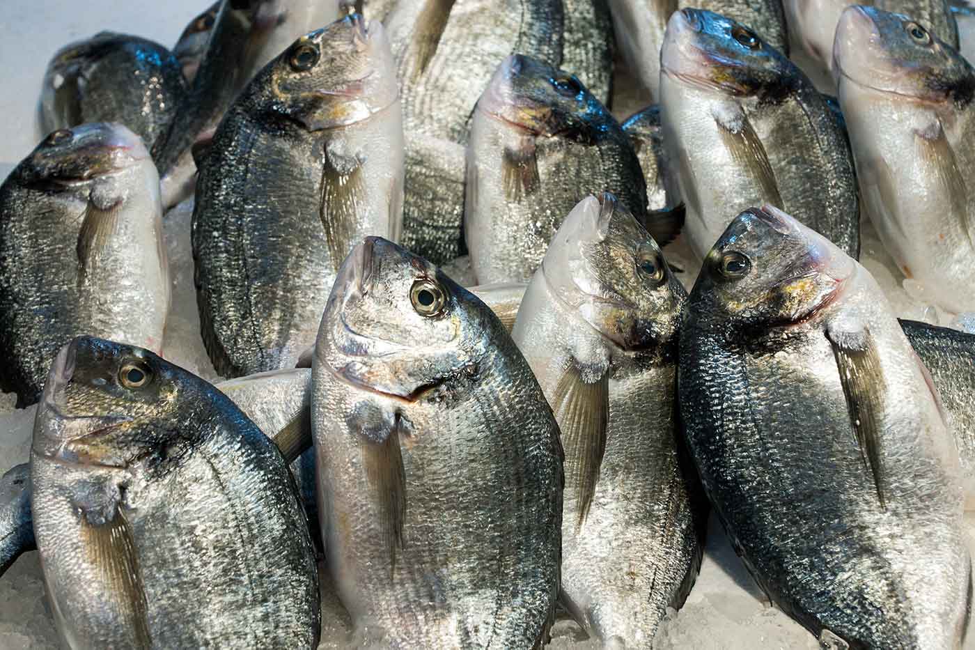 Pescaderías