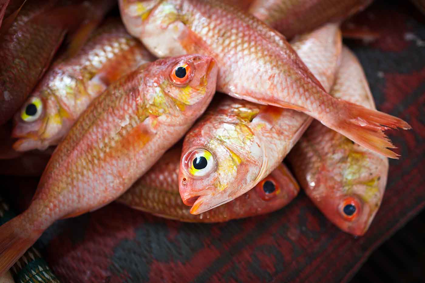 Pescaderías