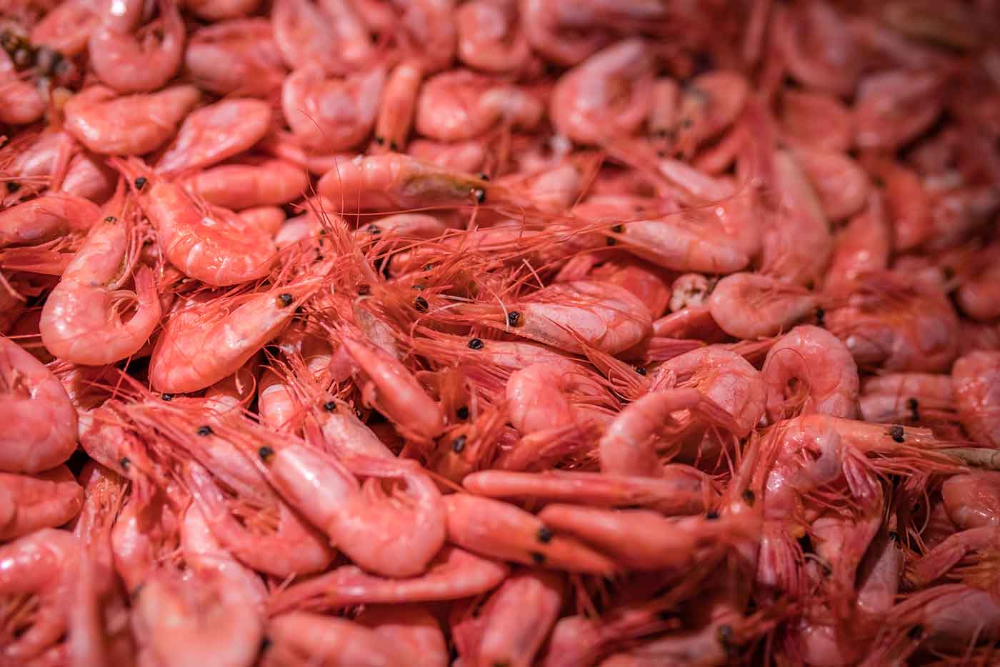Pescaderías