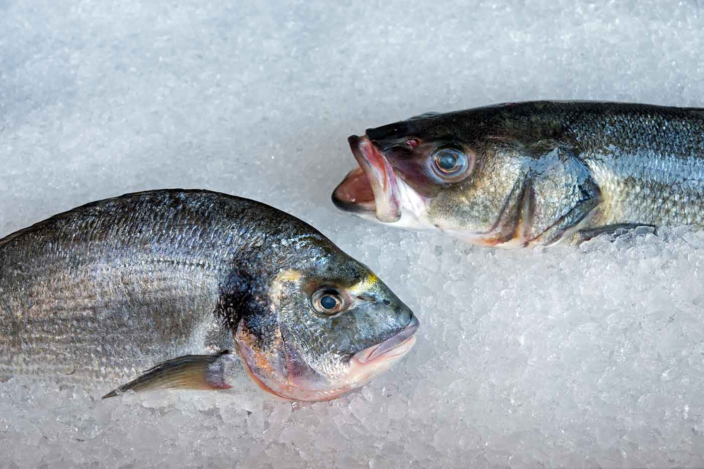 Pescaderías
