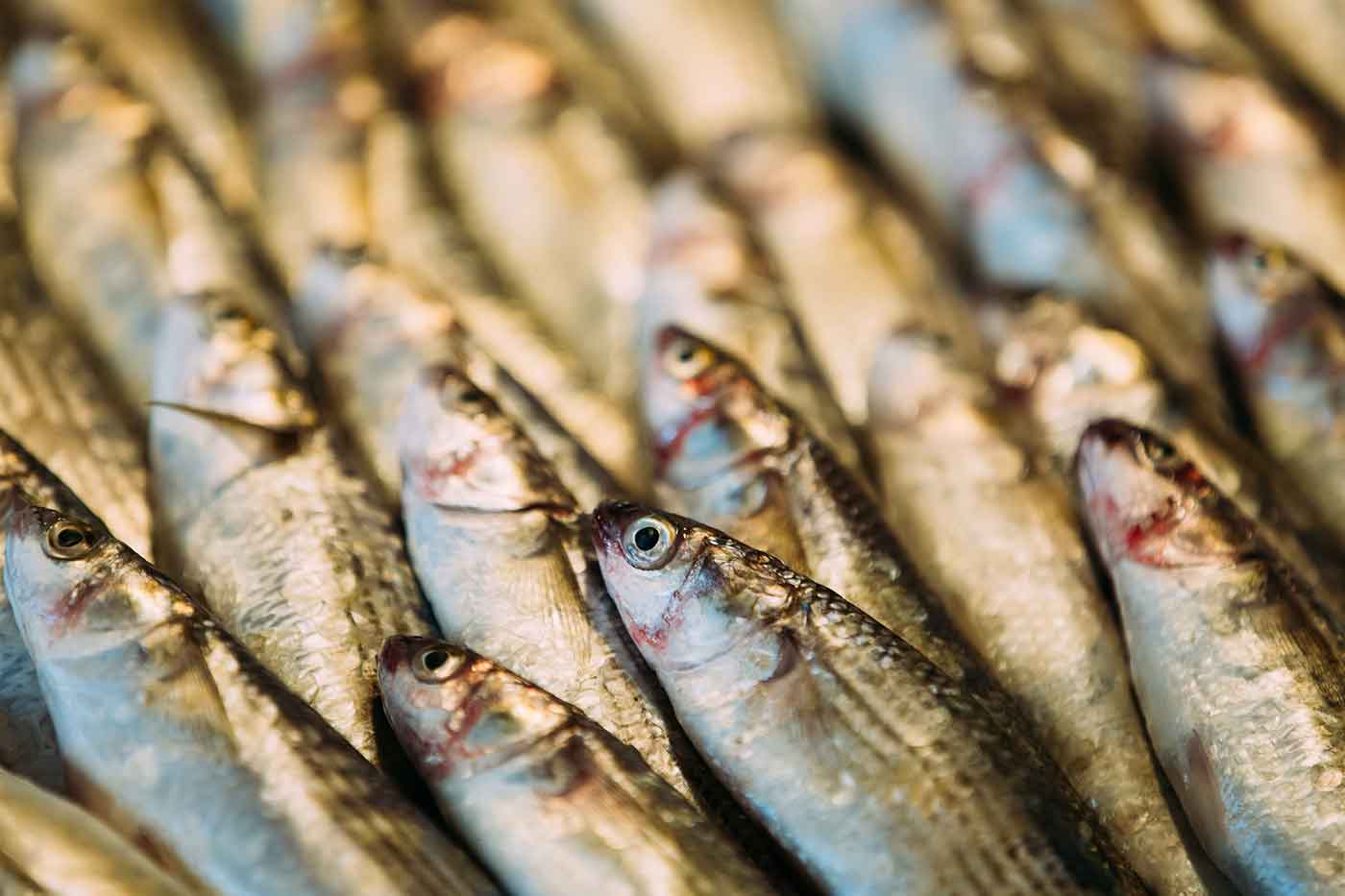 Pescaderías