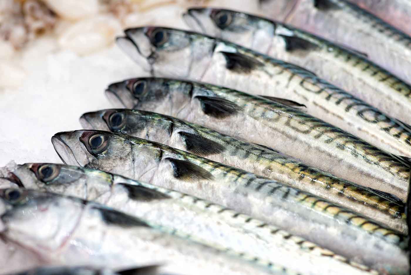 Pescaderías
