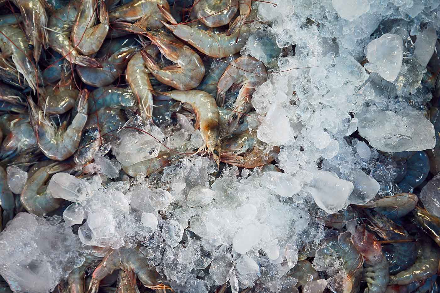 Pescaderías