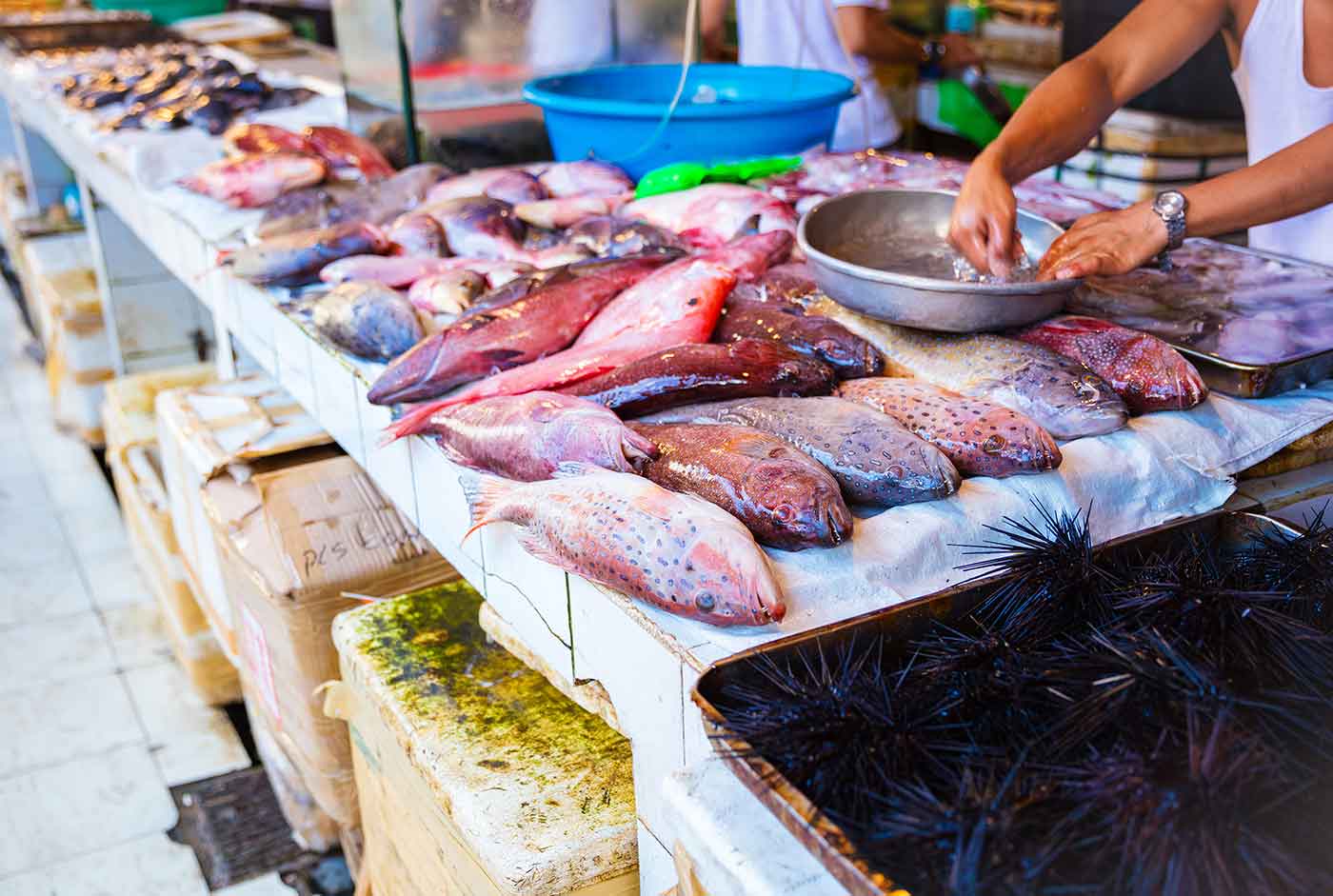 Pescaderías modernas y elegantes con esta selección de productos