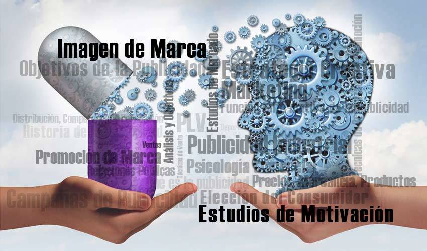 Estudios de motivación