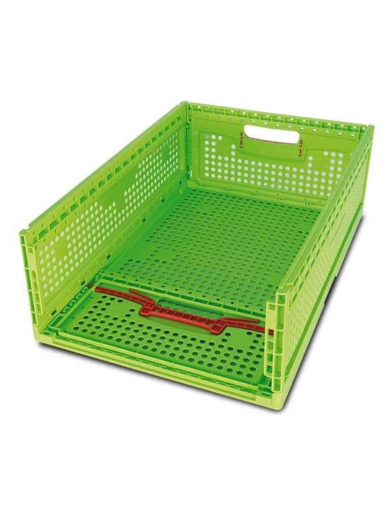 Caja Fruta Plegable en color verde imagen 4