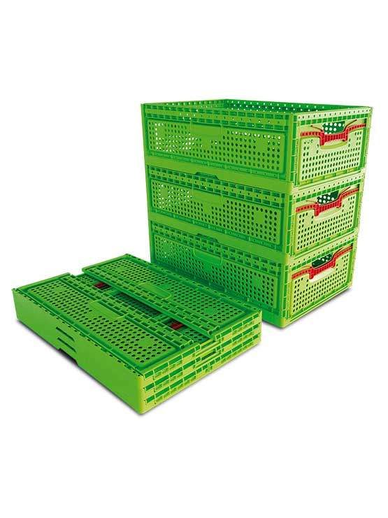 Caja Fruta Plegable en color verde imagen 5